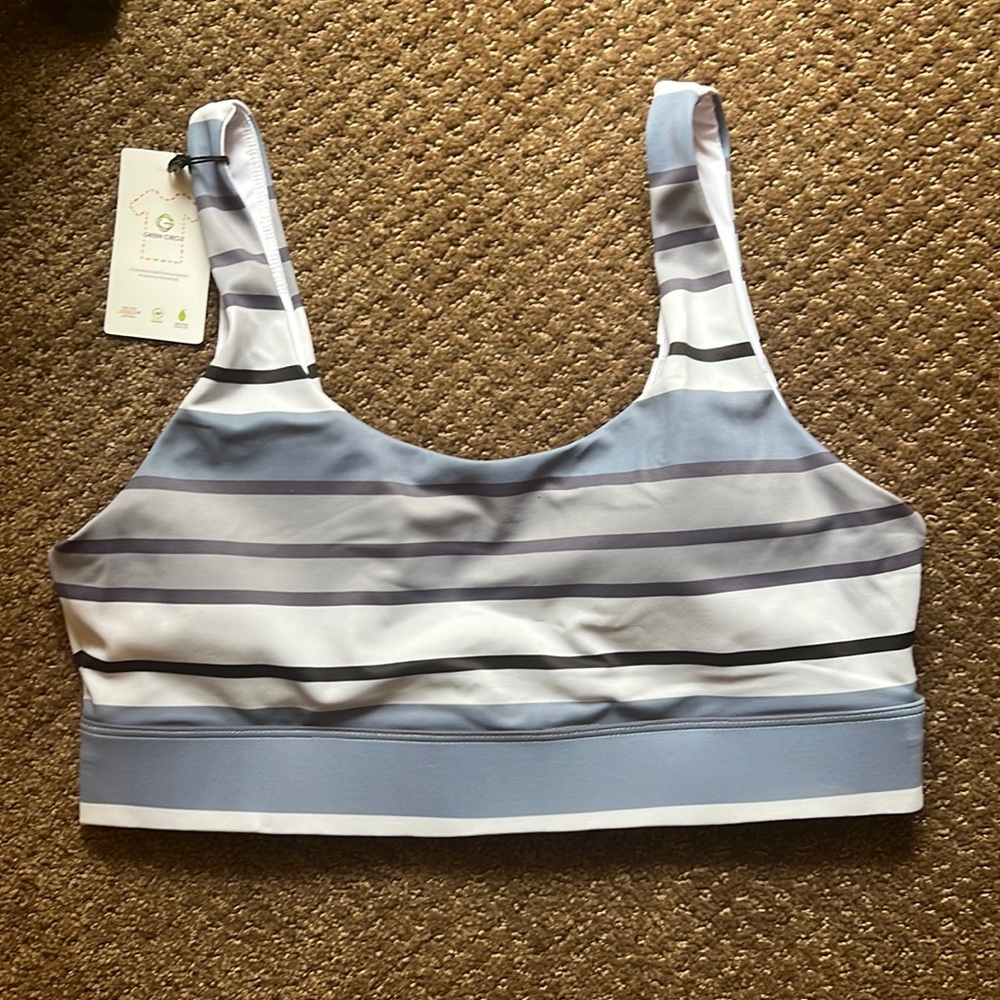 Purple Horizon sports Bra Size L price is firm